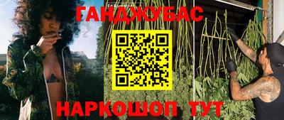 крисы Тула