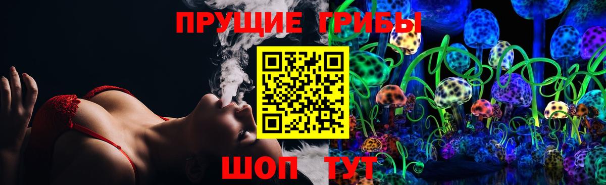 Советский  Псилоцибиновые грибы Psilocybine cubensis  Вход с VPN 