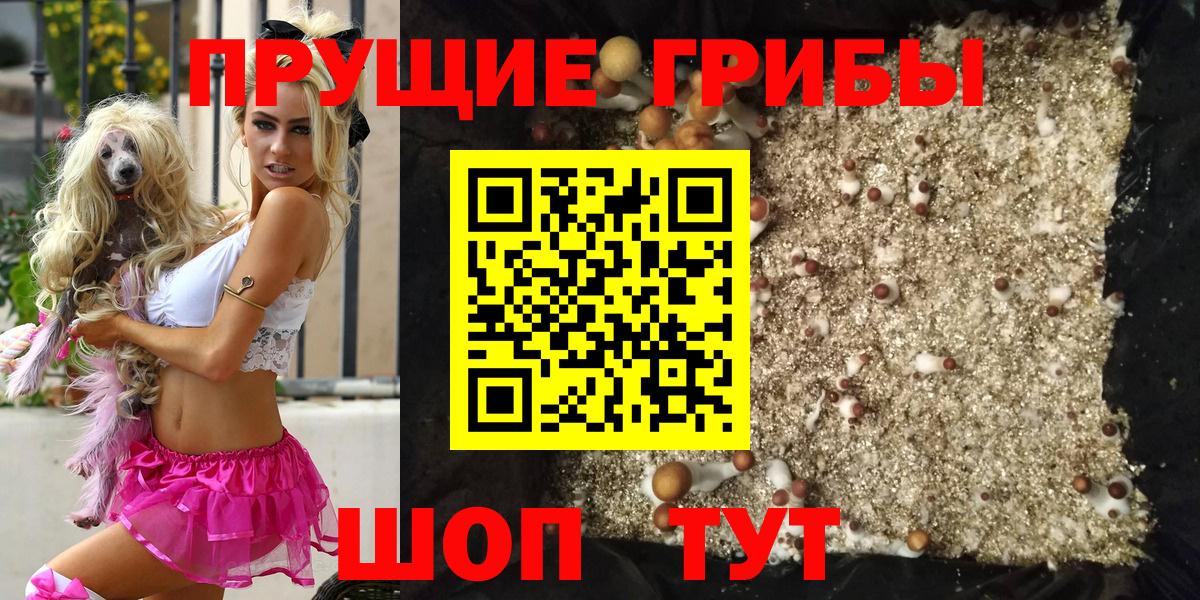 Галлюциногенные грибы MAGIC MUSHROOMS Советский